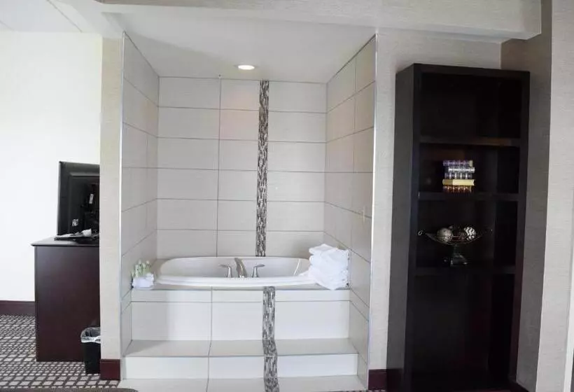 ハイドロマッサージバス付きスイート, Holiday Inn Express & Suites Geneva Finger Lakes, An Ihg