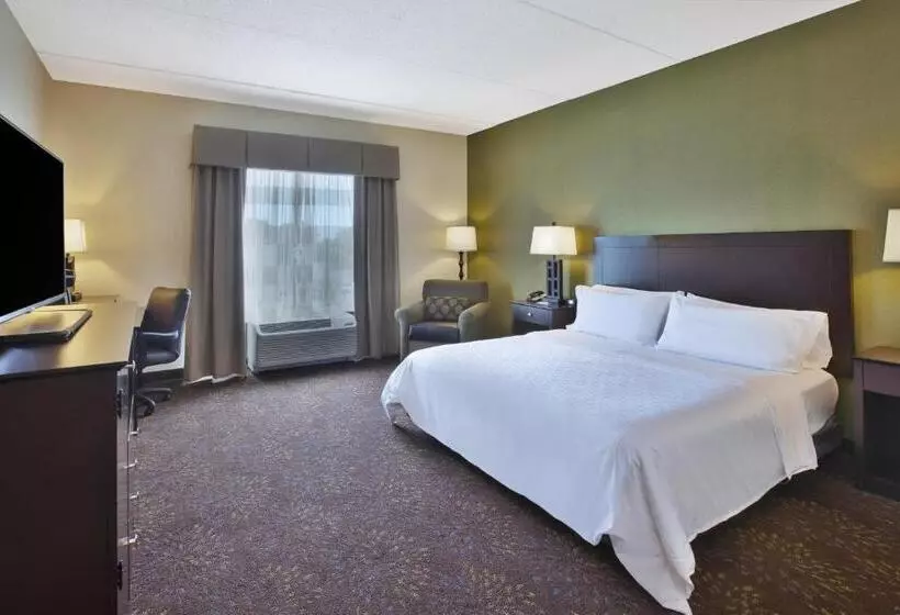 身障者適用キングサイズベッドルーム, Holiday Inn Express & Suites Geneva Finger Lakes, An Ihg