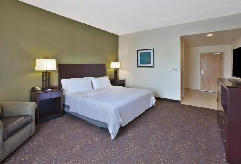 身障者適用キングサイズベッドルーム, Holiday Inn Express & Suites Geneva Finger Lakes, An Ihg