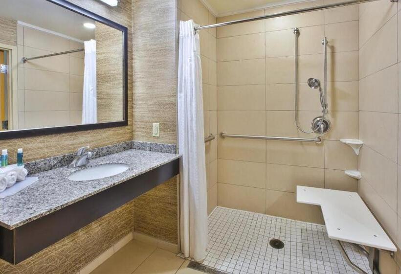 适合残疾人使用的标准间, Holiday Inn Express & Suites Geneva Finger Lakes, An Ihg