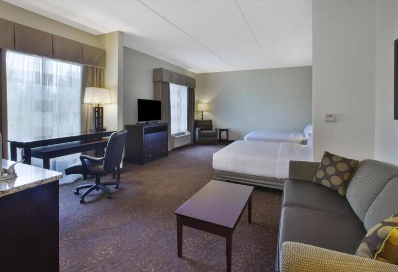 适用于残疾人士的豪华房间, Holiday Inn Express & Suites Geneva Finger Lakes, An Ihg