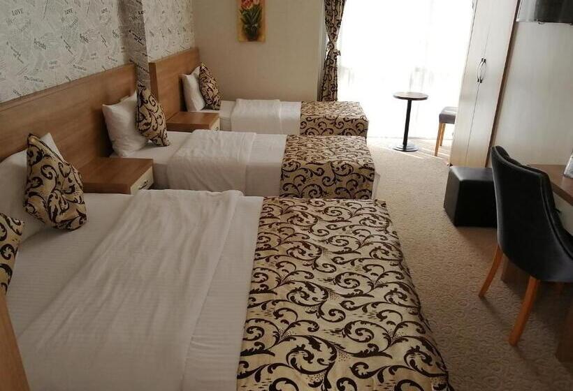 スタンダードトリプルルーム, Nice Royal Otel