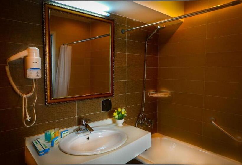 اتاق لوکس, Park