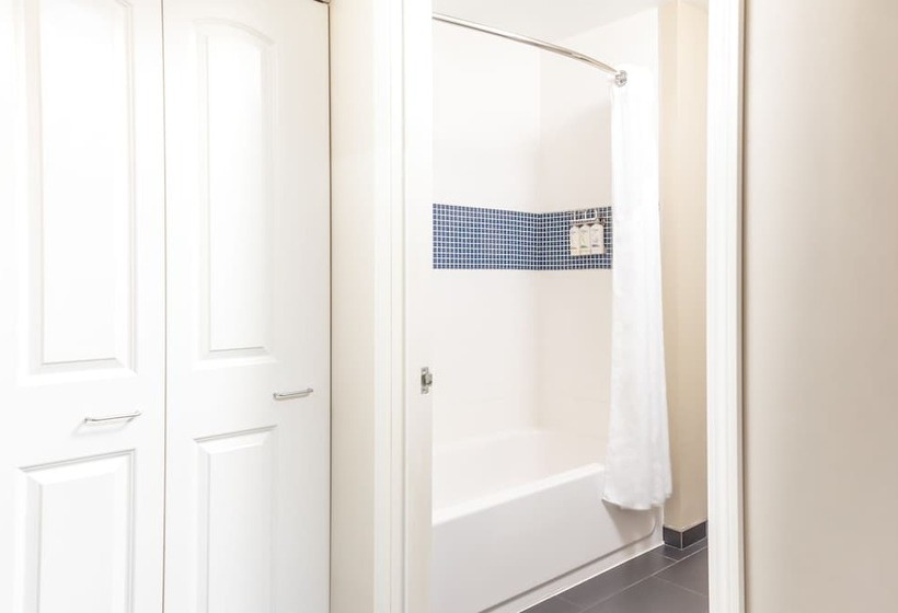 带双人床的标准工作室, Staybridge Suites Denver   Central Park, An Ihg