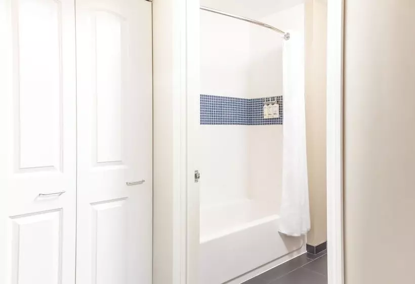 ダブルベッドのスタンダードスタジオ, Staybridge Suites Denver   Central Park, An Ihg