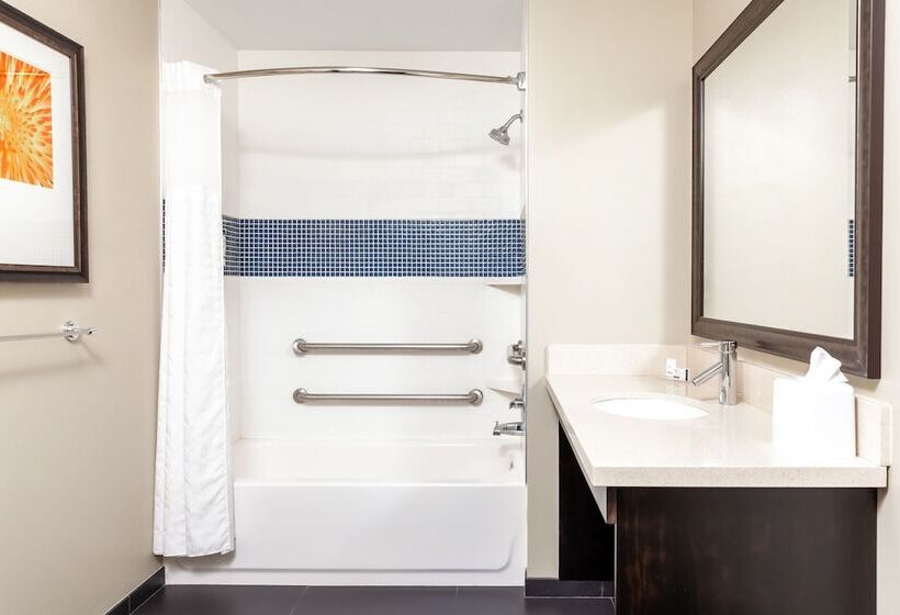 带双人床的标准工作室, Staybridge Suites Denver   Central Park, An Ihg