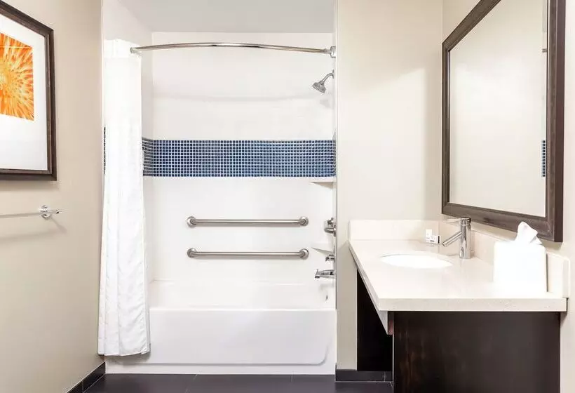 ダブルベッドのスタンダードスタジオ, Staybridge Suites Denver   Central Park, An Ihg
