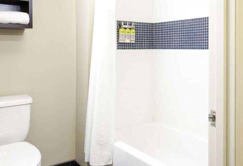 带双人床的标准工作室, Staybridge Suites Denver   Central Park, An Ihg