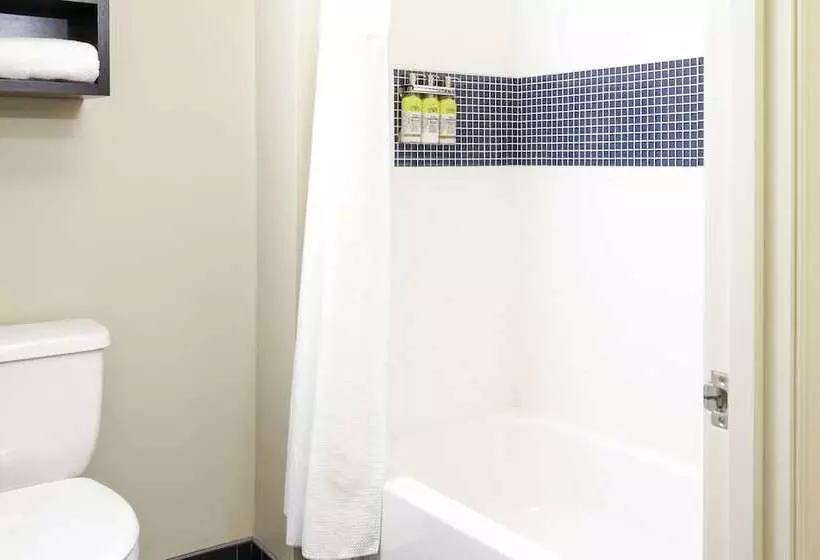 ダブルベッドのスタンダードスタジオ, Staybridge Suites Denver   Central Park, An Ihg