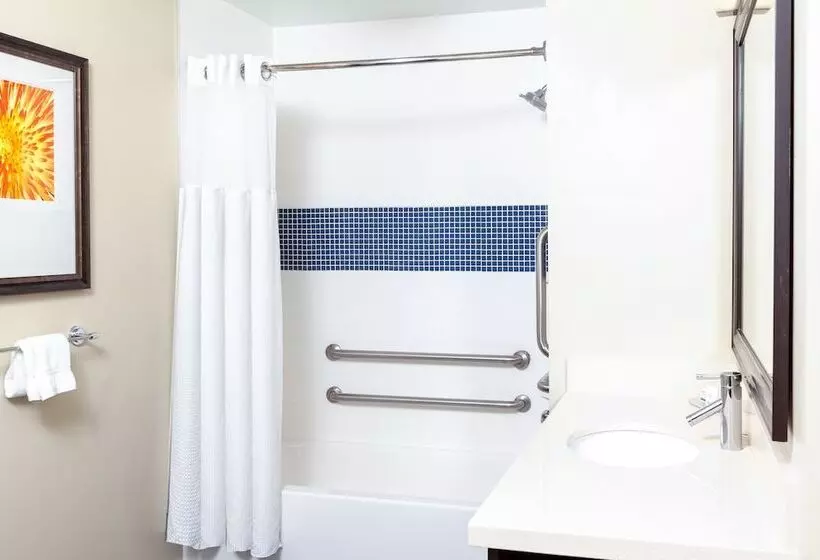 ダブルベッドのスタンダードスタジオ, Staybridge Suites Denver   Central Park, An Ihg