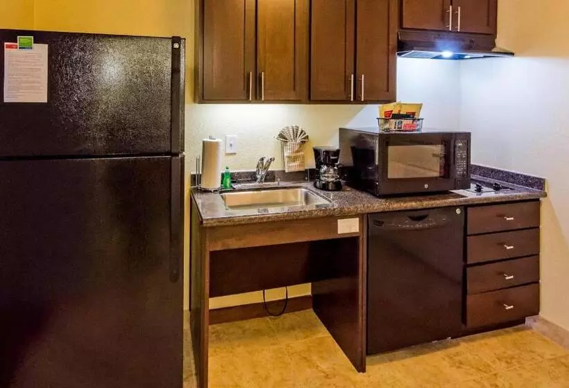 キングサイドベッドのスタンダードワンルーム, Towneplace Suites By Marriott El Paso Airport