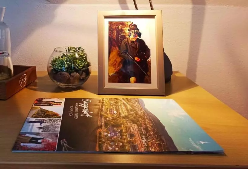 スタンダードシングルルーム, Stadthotel Deggendorf