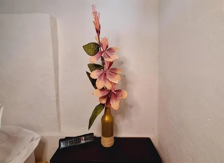 スタンダードルーム, Hostal Colombian Gold