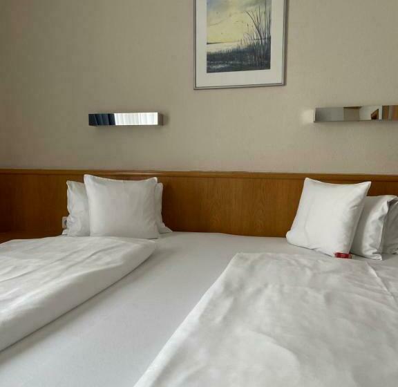 Номер Стандарт, Pension Schmidt