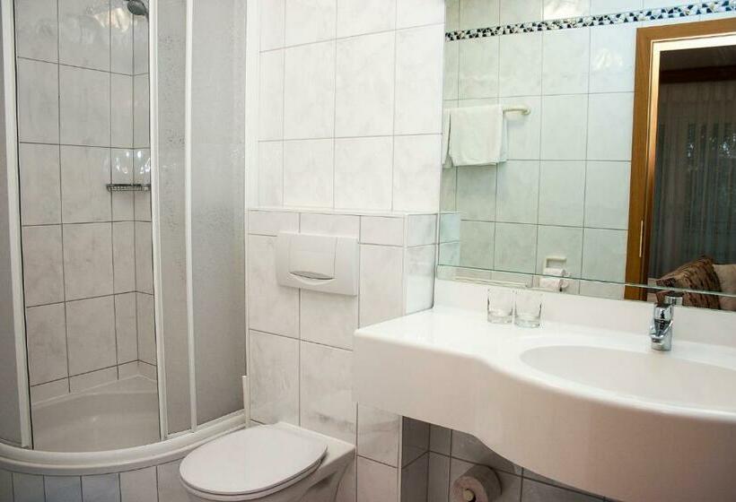 Номер Стандарт с Балконом, Pension Schmidt