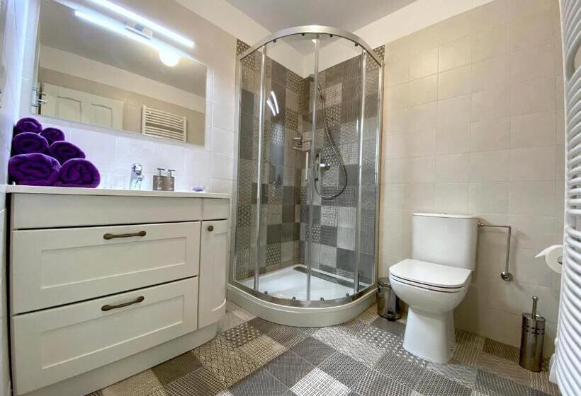 חדר סטנדרט יחיד, Penzion U Anděla