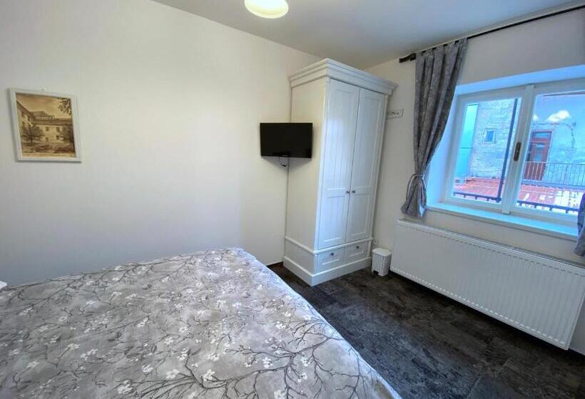 חדר סטנדרט יחיד, Penzion U Anděla