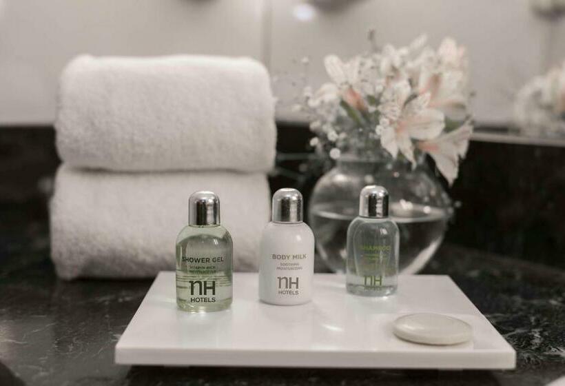 스탠다드 싱글 룸, Nh Santiago Del Estero