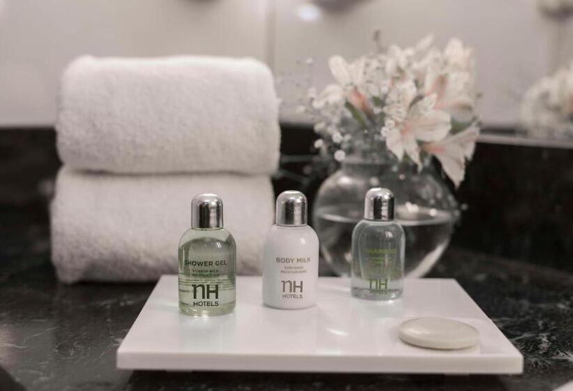 수피리어 룸, Nh Santiago Del Estero