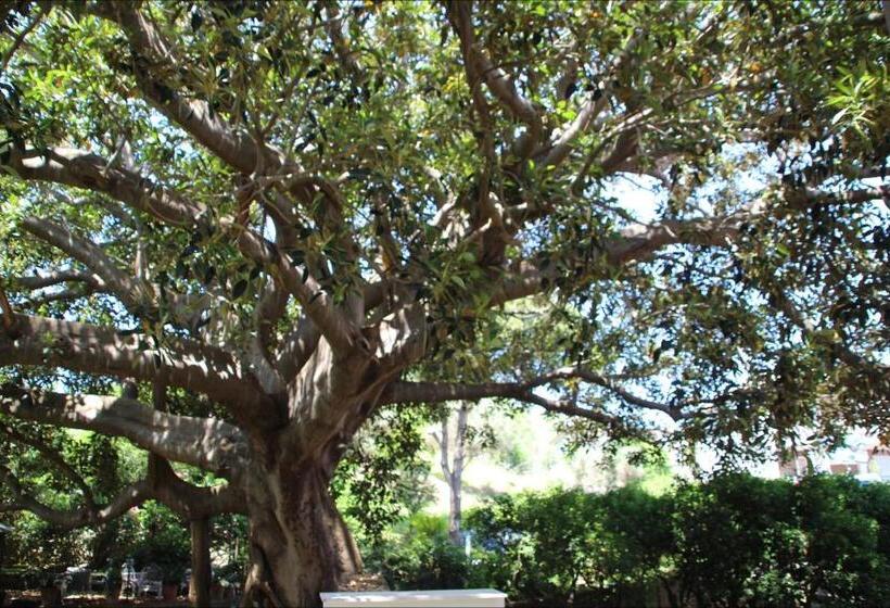 חדר סטודיו סטנדרד, Affittacamere La Magnolia