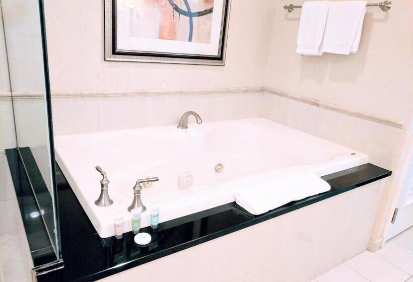 스위트, Strip & Sphere View   Separate Living Room   2 Full Bath   Full Kitchen   Balcony   900 Sqft   Mgm S