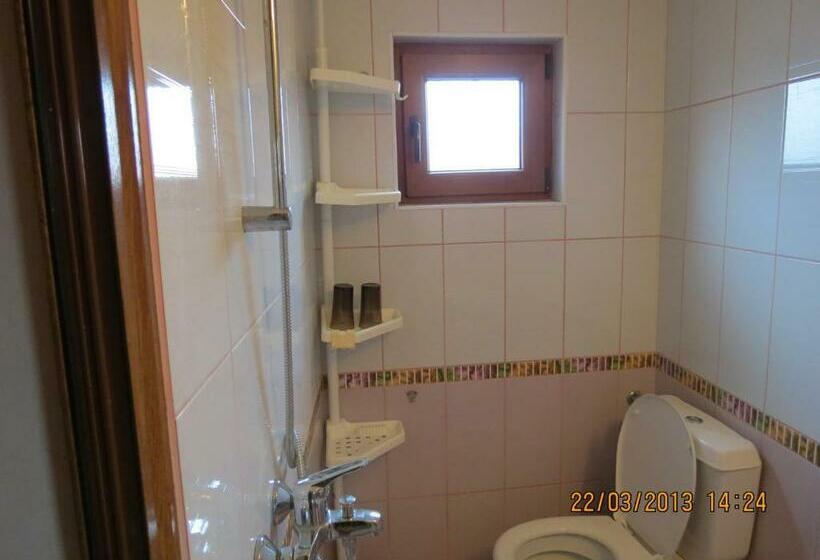 חדר סטנדרט עם מרפסת, Family Hotel Lebed