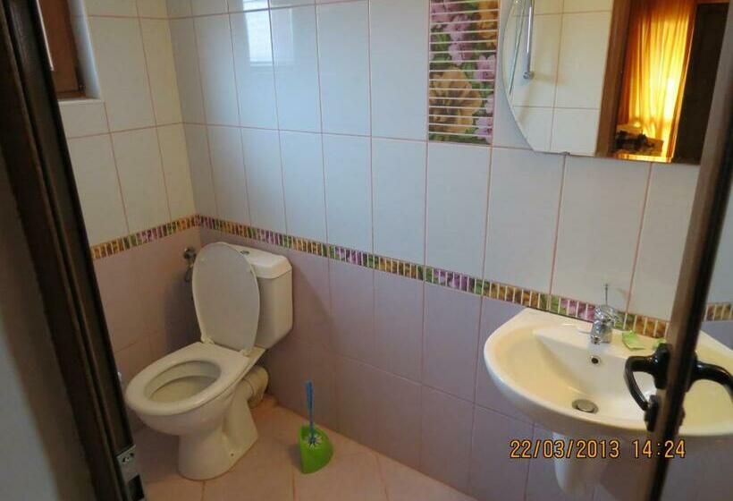 חדר סטנדרט עם מרפסת, Family Hotel Lebed