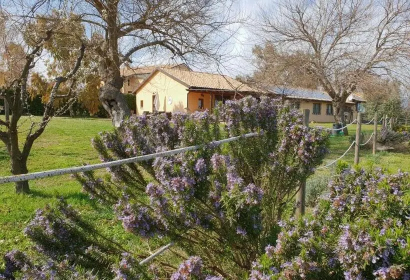 スーペリアールーム, Agriturismo Le Grange