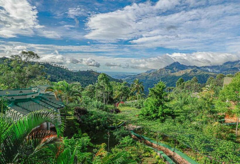 スタンダードトリプルルーム, Chill Ville, View Point