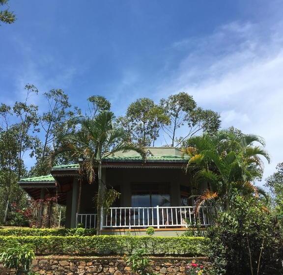 スタンダードトリプルルーム, Chill Ville, View Point