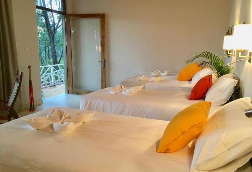 ファミリールーム, Chill Ville, View Point