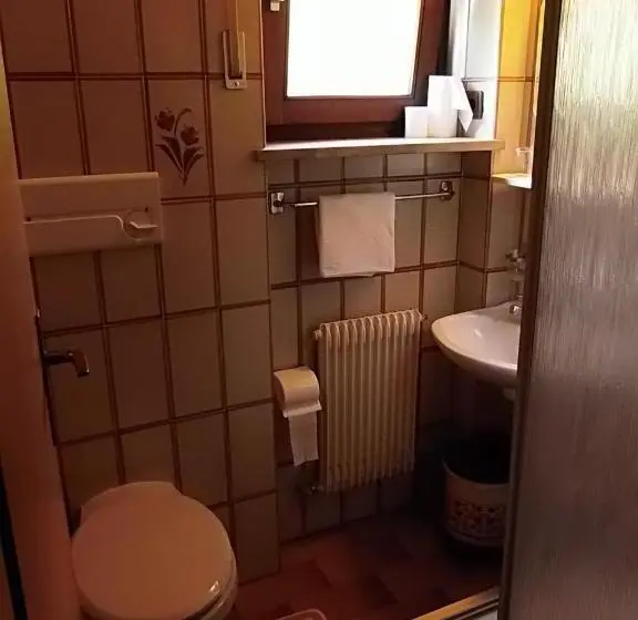 Standard Yhden Hengen Huone, Garni Runggner Traubenhof