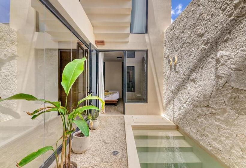 سوئیت جونیور با استخر, Eterna Tulum
