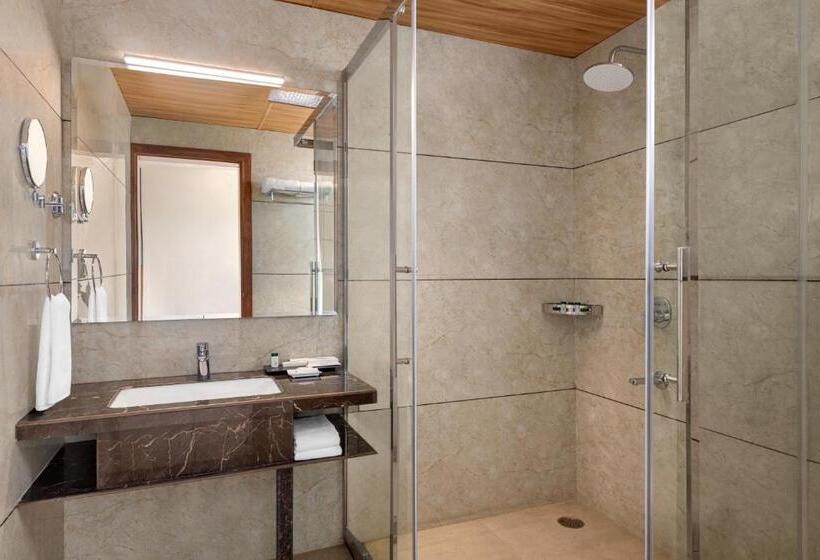 غرفة قياسية سرير كينج لذوى الإحتياجات الخاصة, Howard Johnson By Wyndham Udaipur Roop Nagar