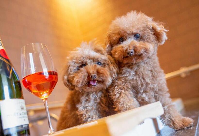 带大床的套房, Hyatt Centric Melbourne