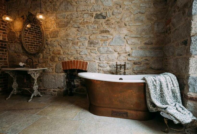 סוויטה דלוקס, Host St Ives