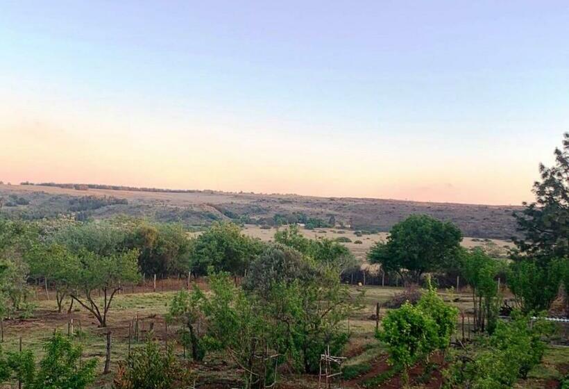 غرفة قياسية, Little Forest Farm