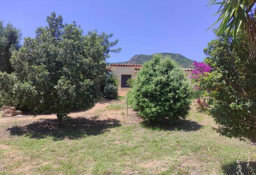 חדר סטנדרט, Sa Teria Village   Camere Deluxe