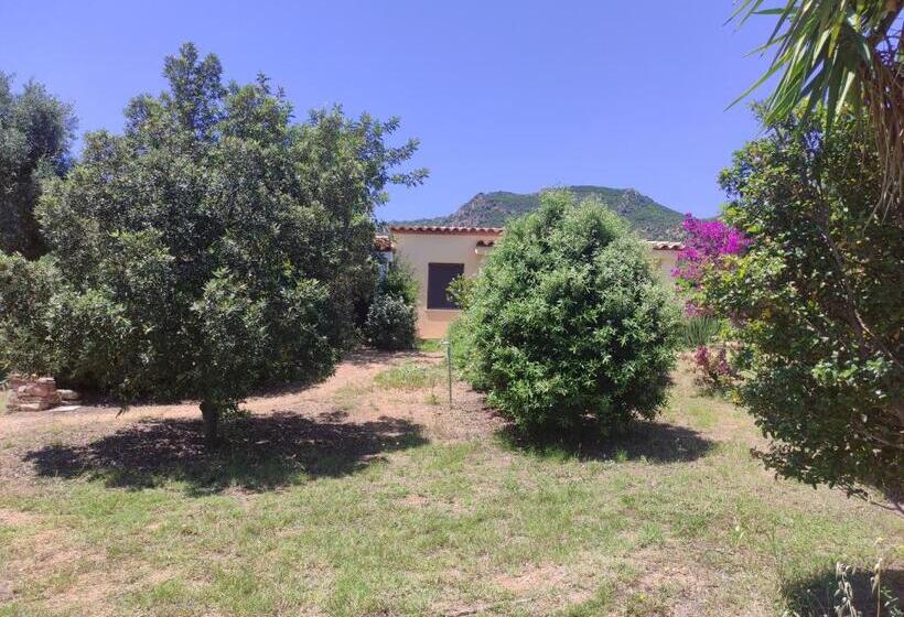 חדר דלוקס, Sa Teria Village   Camere Deluxe