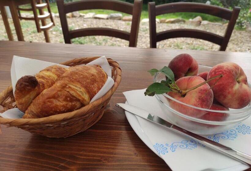 חדר קלאסי לארבעה, Sa Teria Village   Camere Deluxe