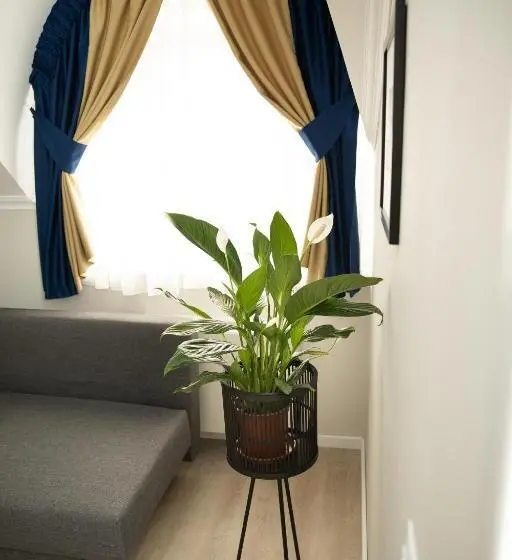 １ベッドルームアパートメント, Casa Anabeca