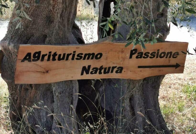 اتاق استاندارد سه تخته با چشم‌انداز استخر, Agriturismo Passione Natura