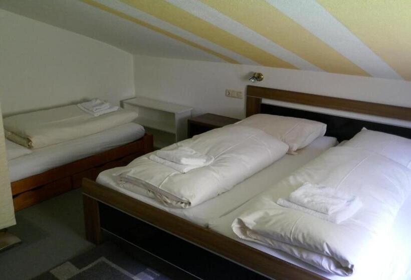 Апартаменты 1 Спальня, Pension & Ferienwohnungen Haus Edelweiß