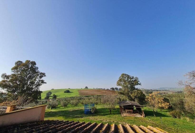 آپارتمان 1 خوابه با تراس, Agriturismo Buonavista   Parco Della Maremma