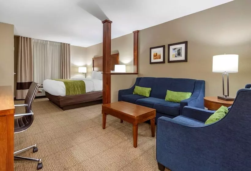 スイート, Comfort Inn & Suites Avera Southwest