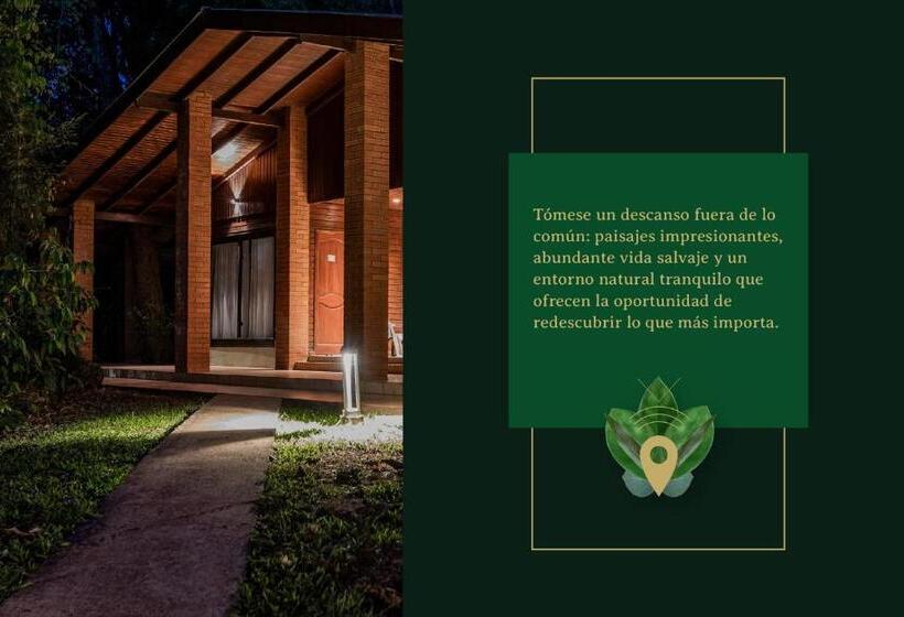 클래식 룸, Yvy Hotel De Selva