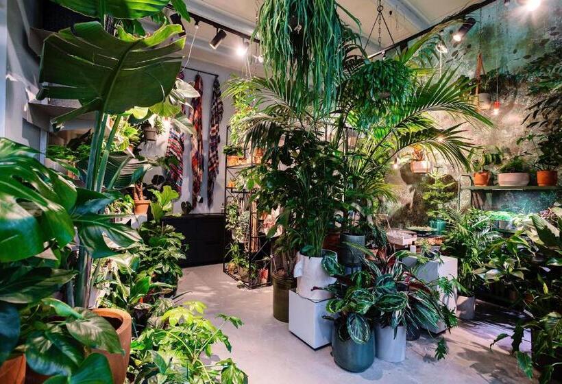 豪华房间, Daen’s Greenhouse