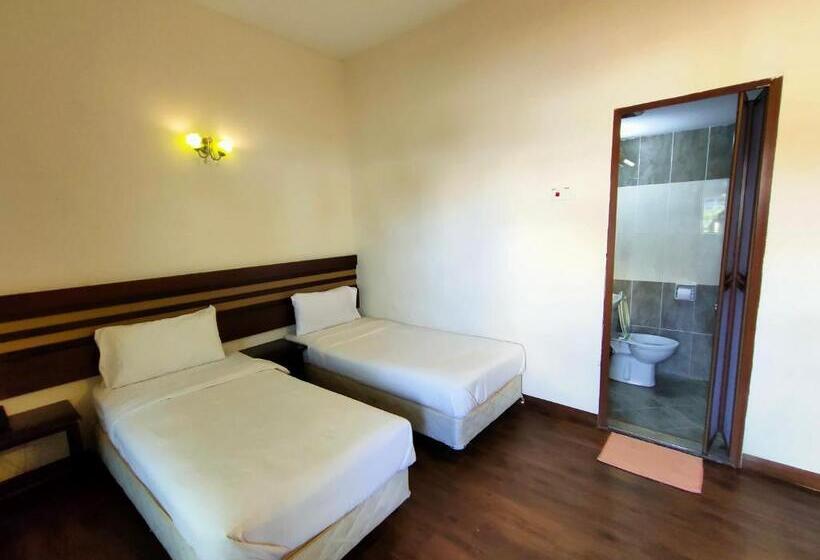 Camera Economy, Cozzy Motel