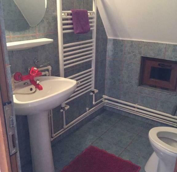 スタンダードルーム, Pensiunea Pusu