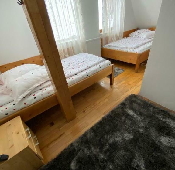 スタンダード４人部屋, Pensiunea Pusu